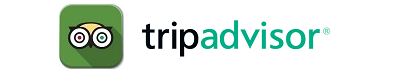 TripAdvisor Airport Transfers Sao Paulo